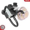 EGR Ventil ESEN SKV 14SKV268