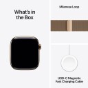 Apple Watch Series 11 GPS + Cellular 42mm Gull Titan med Milanese Løkke