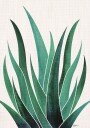 Desert Agave Cactus Plakat / 40x50cm