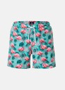 Blount & Pool Beach Stretch Shorts