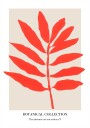 Botanical Collection Nr. 1 Plakat Plakat / 70x100cm