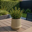 SACKit Gaia 38 Utekrukke   17 cm   Sand