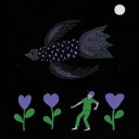 Bonnie Prince Billy  The Purple Bird  CD