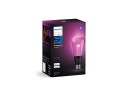 Philips Hue Lightguide G125 E27 smart kuleformet LED-pære 500 lm
