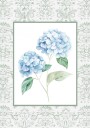 Hydrangeas 2 Plakat / 40x50