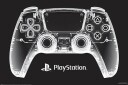 PlayStation Plakat X-Ray Pad - 91,5 x 61 cm