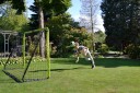 EXIT Tempo steel football goal 180x120cm - green/black, Barn, Frittstående, Svart, Grønn, Metall, 3,2 cm, 1,2 mm