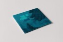 Flunk  Take Me Places  CD