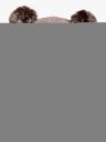 Lindberg Norrbotten Lue Beige 44 46