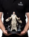 Figures of Fandom  The Lord of The Rings Trilogy  Saruman the White
