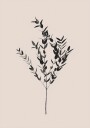 Inky Botanical Plakat / 100x150cm