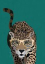 Curious green leopard Poster Plakat / 70x100cm