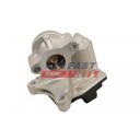 EGR Ventil FAST FT60244