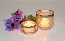 Telysglass blankt glass lite