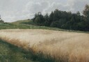 Das Haferfeld By Adolf Kaufmann Plakat Plakat / 21x30cm