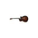 Ibanez Aeg74n-Mhs Nylonstrenger Med Mik