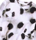 Molo Collegegenser   Monti   Giant Panda   Molo   6 år (116)   Collegegenser Grå Hvit Svart