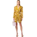 Elisabetta Franchi Dame Kjoler Gul L,