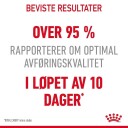 Royal Canin Digestive Care Tørrfôr til katt 10 kg - Økonomipakke