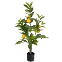 Mr Plant Sitrontre 90 cm