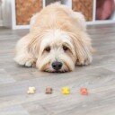 Trixie Mini Bones Hundegodteri 1.3 kg - Sprø Hundekjeks for Trening