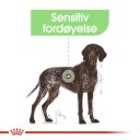 Royal Canin Maxi Trockenfutter for hunder 12 kg med fordøyelseshjelp