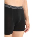 Icebreaker Anatomica Boxers Herre