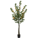 Mr Plant Sitrustre 180 cm