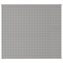 Vidaxl Vektdyne grå 200x230 cm 13 kg stoff