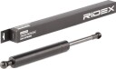 RIDEX 219G0502 Baklukedemper
