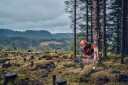 Husqvarna 540 XP® Mark III motorsag SP33G