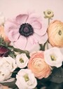 Pastel Bouquet Plakat Plakat / 30x40cm