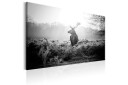 Tavle Black And White Deer 90X60 Artgeist sp. z o. o.