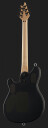 Evh Wolfgang USA EVH Signature BK