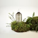 Scandinavian Soap Factory Fjällskog Body Wash 500 ml