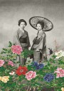 A Summer Afternoon In Japan Plakat Plakat / 70x100cm