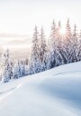 Winter Sunrise Plakat Plakat / 30x40cm
