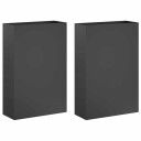 vidaXL Hageblomsterpotte 2 stk. Antrasitt 50 x 20 x 75 cm