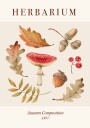 Autumn Herbarium Plakat Plakat / 100x150cm