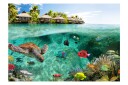 Fototapet Under The Surface Of Water 100x70 - Artgeist sp. z o. o.