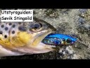 Søvik Stingsild sluk rød/kobber/holo   10 gram