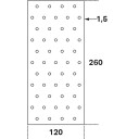 Hullplate FAST HP Stål 120x260x1,5 mm