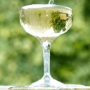Tinto champagneglass coupé i plast 25,5 cl