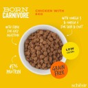 Schesir Born Carnivore Kylling og Egg 255 g Fullfôr til Voksne Katter