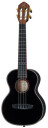 Ortega RUOX-TE