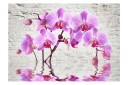 Fototapet Purple Delight 100x70 - Artgeist sp. z o. o.