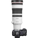 Canon RF 100-300mm f/2.8 L IS USM