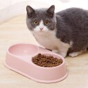 Dobbel Pastellskål Til Katt Og Hund