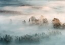 Marco Galimberti Winter fog Plakat / 100x150cm