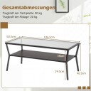 Rektangulært glass salongbord – oppbevaring i to etasjer metallramme
